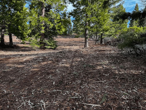 Media Image 2