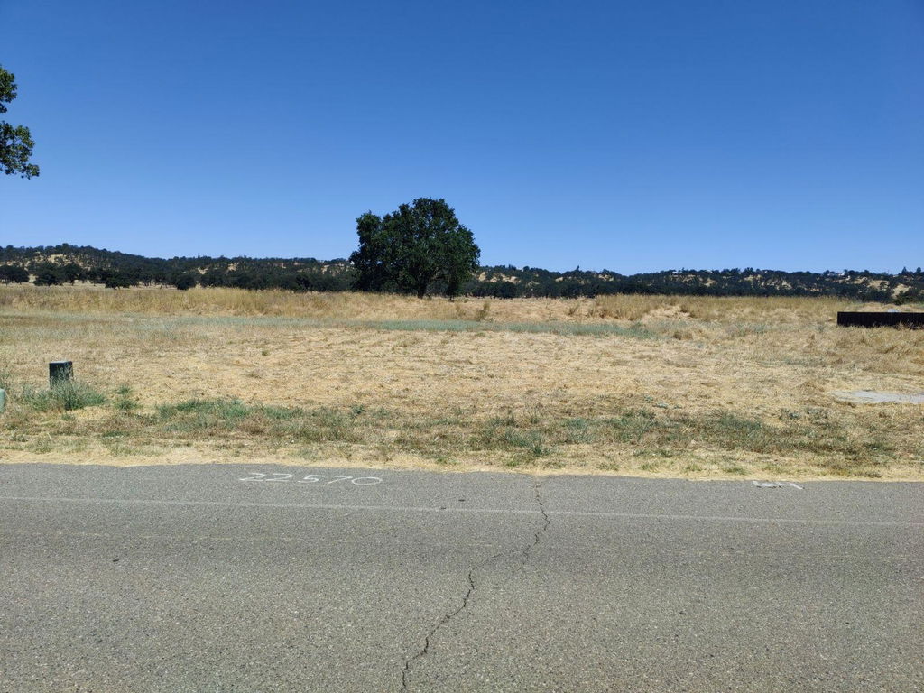 Image Unavailable