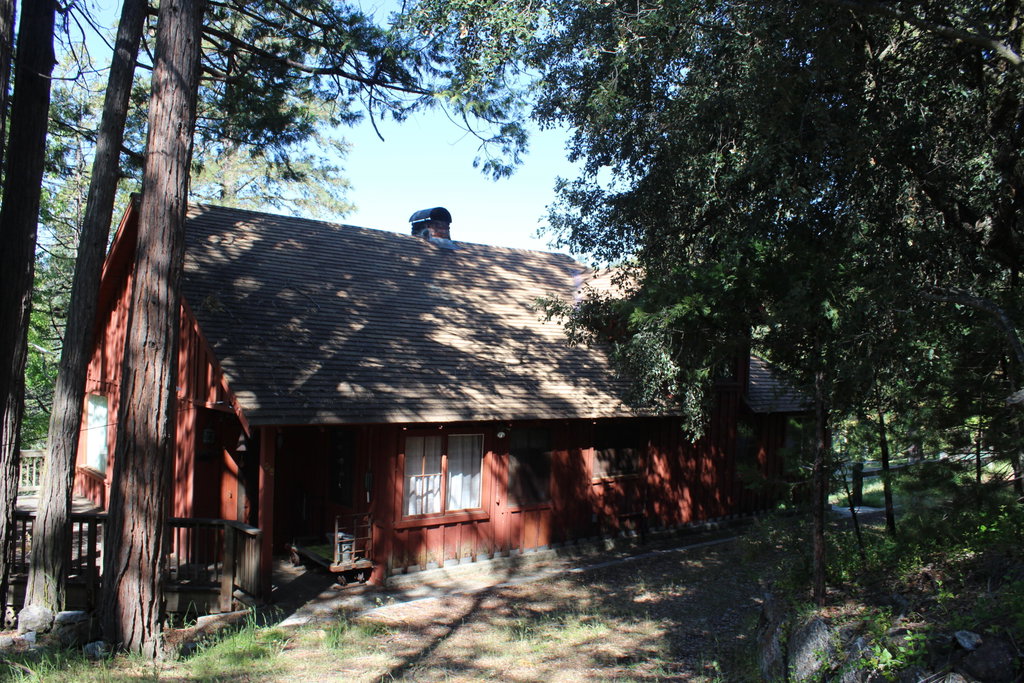 Media Image 1