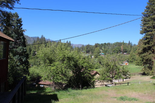 Media Image 3
