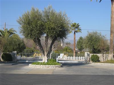 Media Image 2
