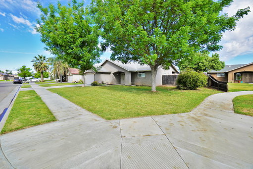 Media Image 3