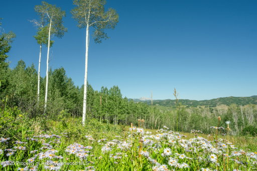 Media Image 3