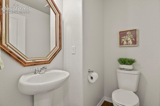 Media Image 3