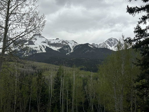 Media Image 2