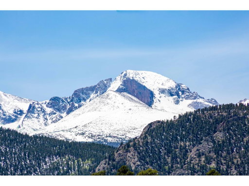 Media Image 3
