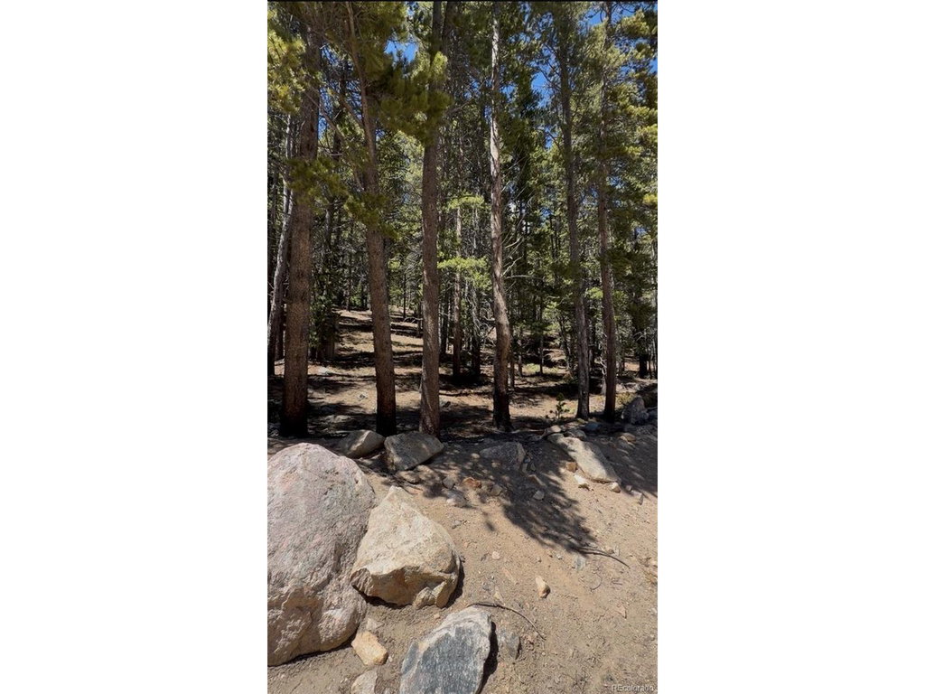 Image Unavailable