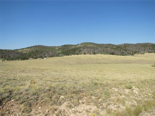 Media Image 3