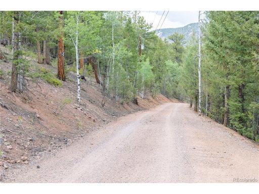Media Image 3