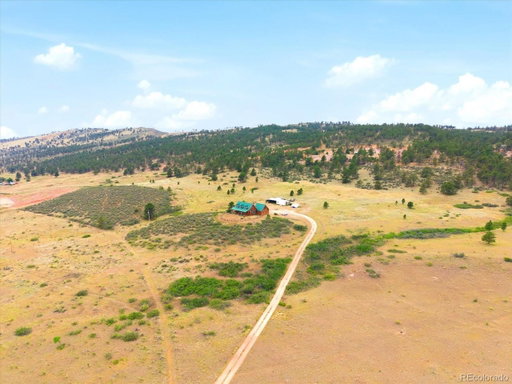 Media Image 2