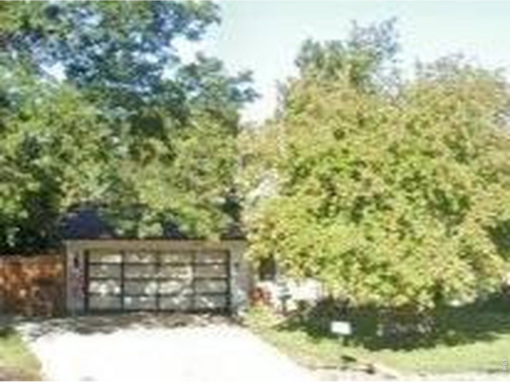 Media Image 1