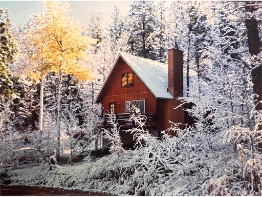 Media Image 2