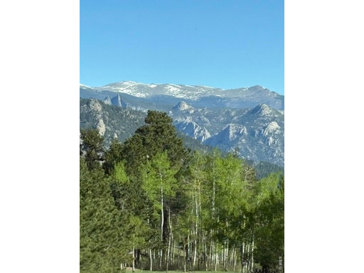 Media Image 2