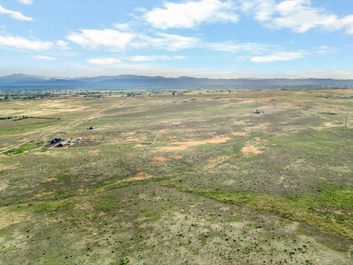 Media Image 3