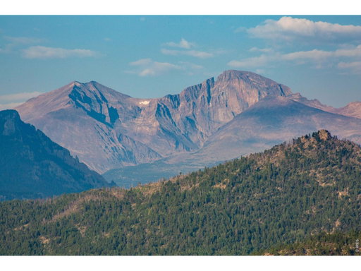Media Image 2