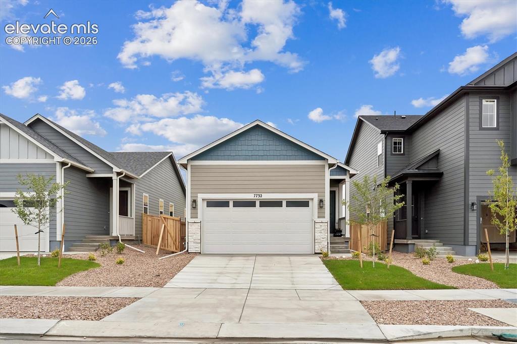 Media Image 1