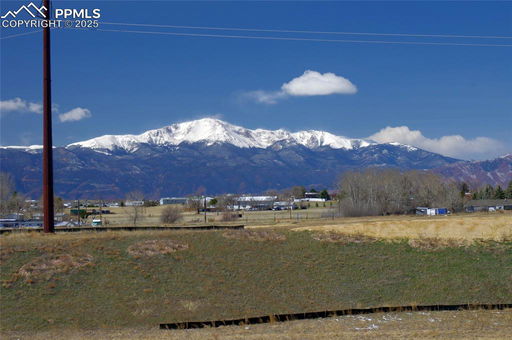 Media Image 3
