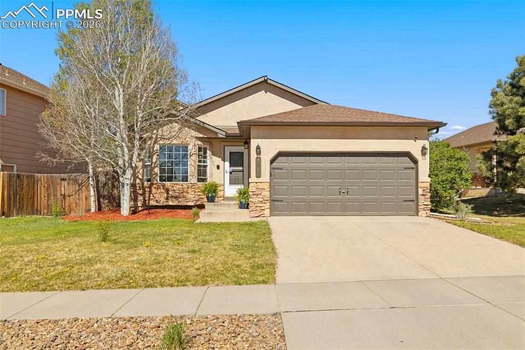 Media Image 1