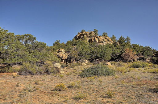 Media Image 3
