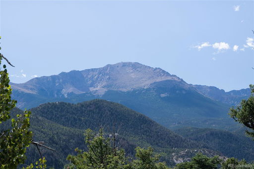 Media Image 3