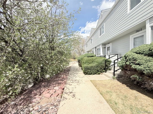 Media Image 3