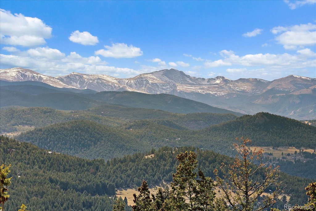 Media Image 1