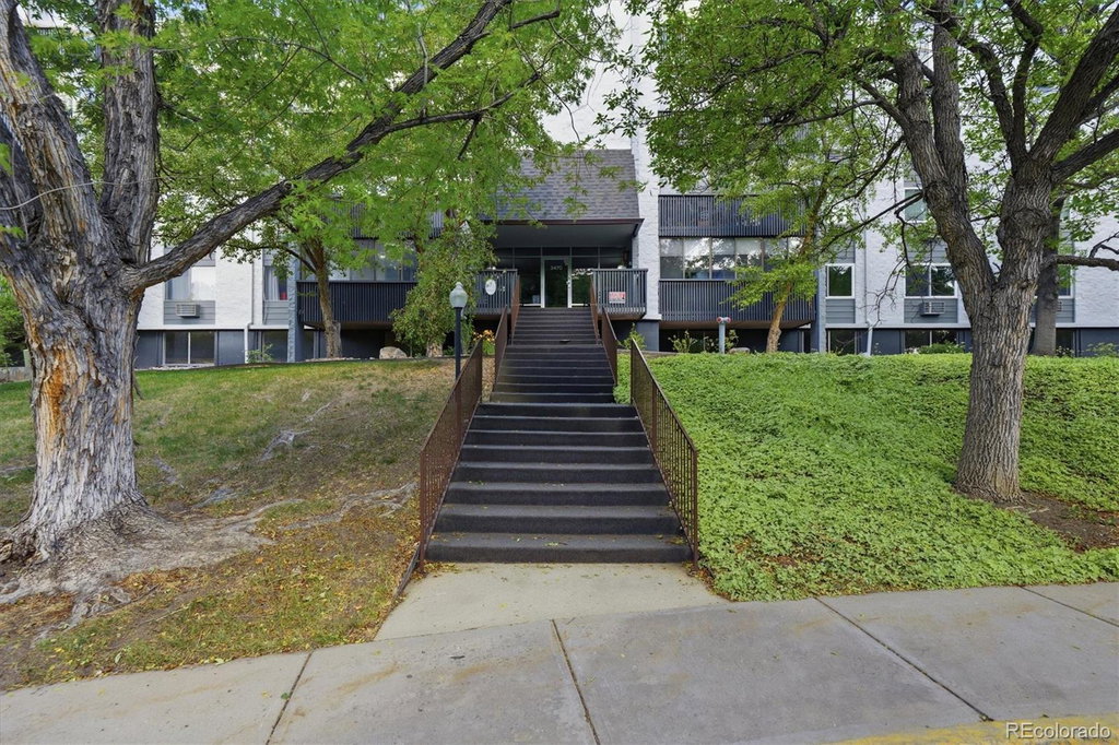 Media Image 1
