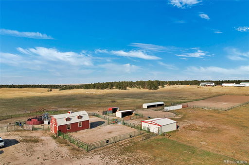 Media Image 3