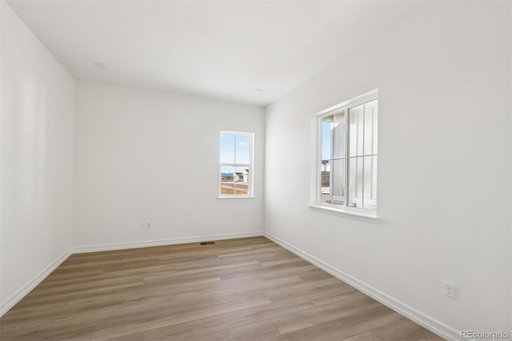 Media Image 3