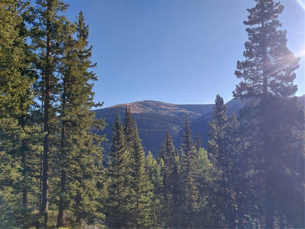Image Unavailable