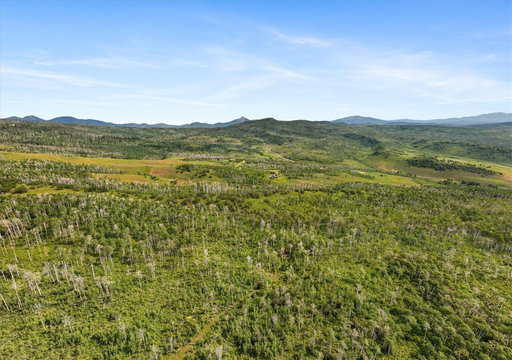 Media Image 3