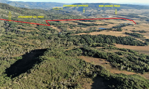 Media Image 2