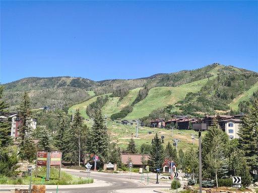 Media Image 3