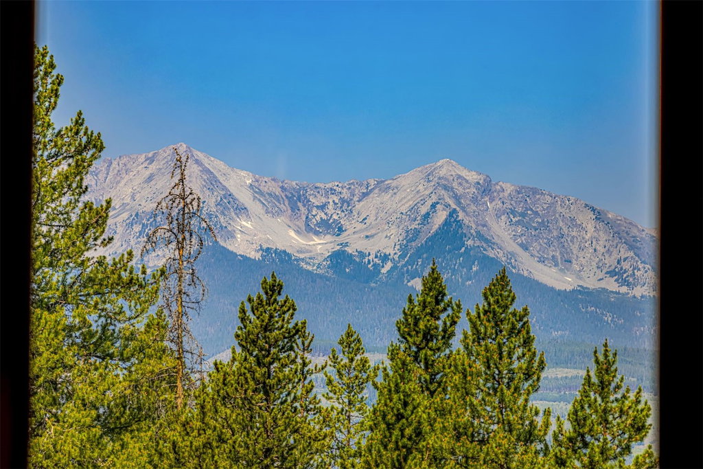 Media Image 1
