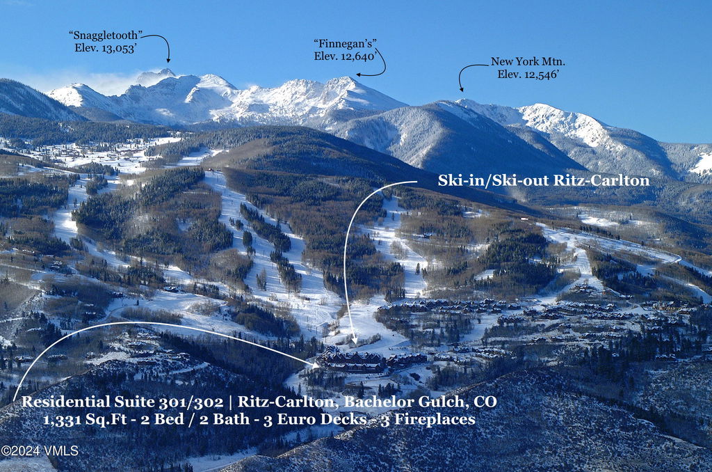 Media Image 1