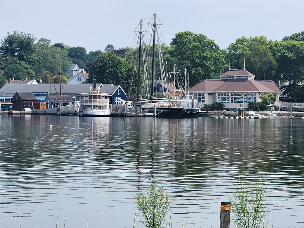 Media Image 1