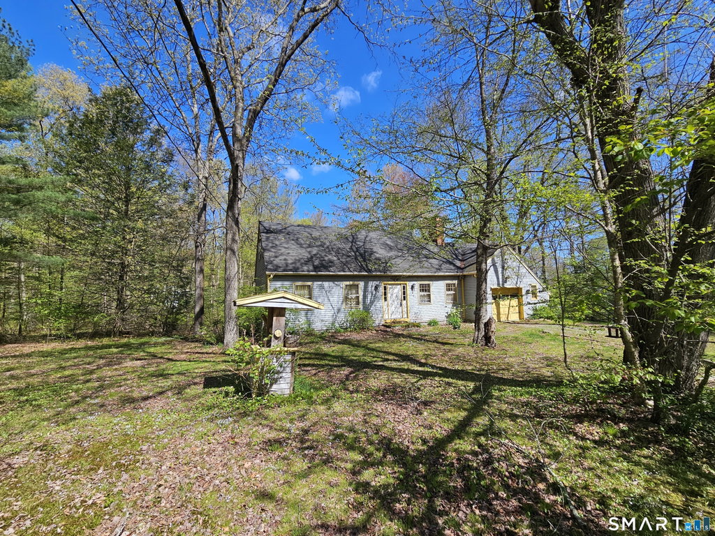 Media Image 1