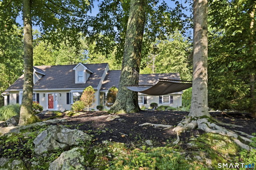 Media Image 3
