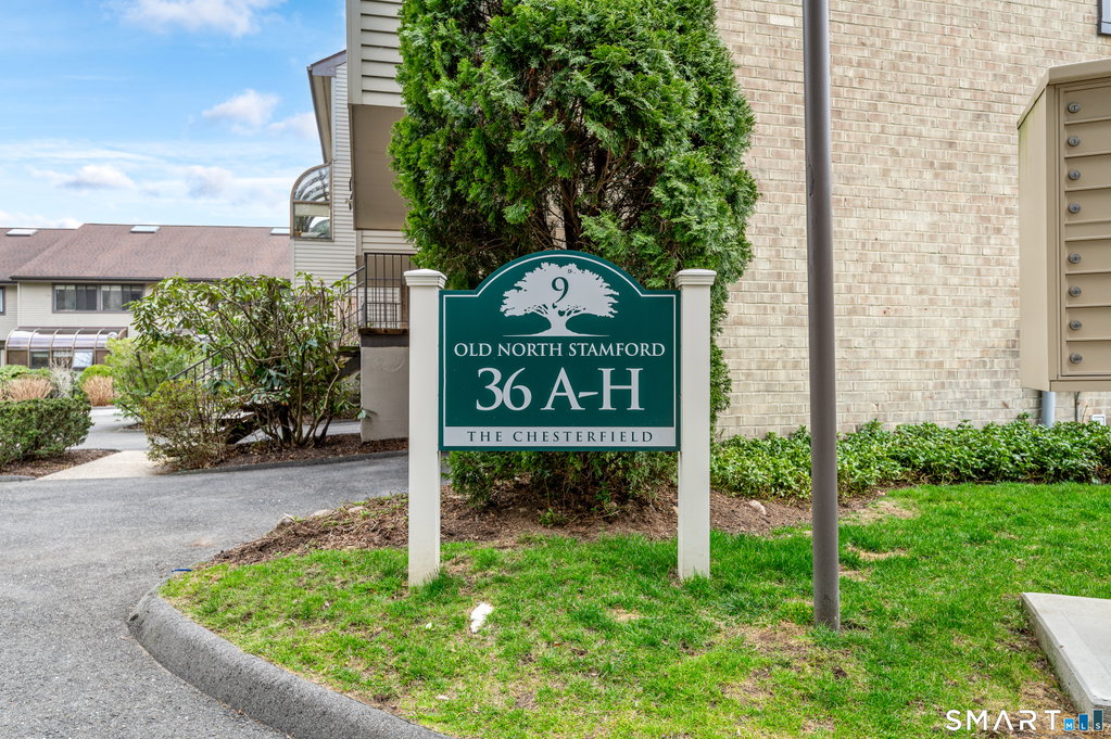 Media Image 1
