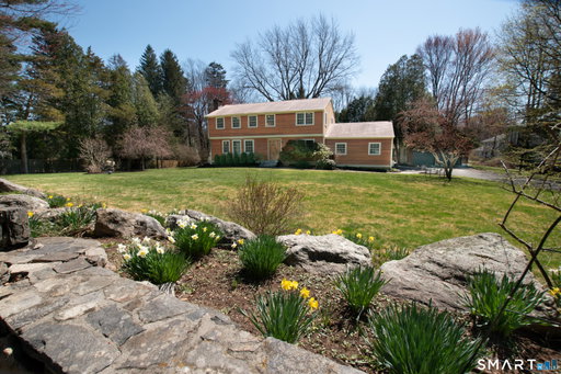 Media Image 2