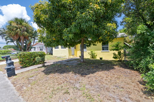 Media Image 3