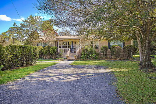 Media Image 2