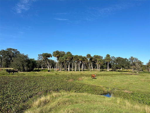 Media Image 2