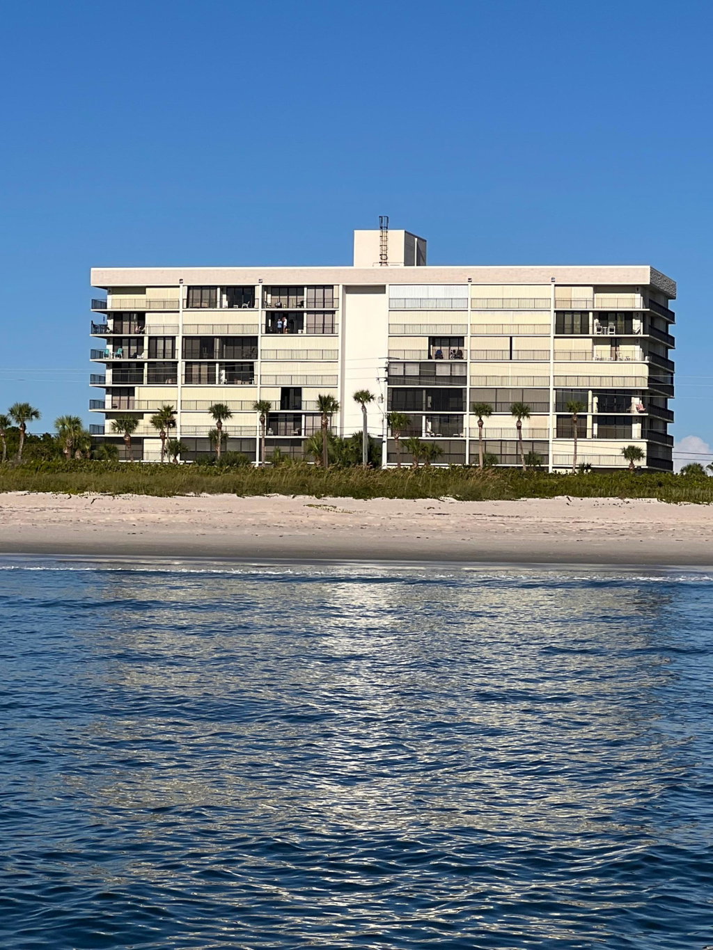 Media Image 1