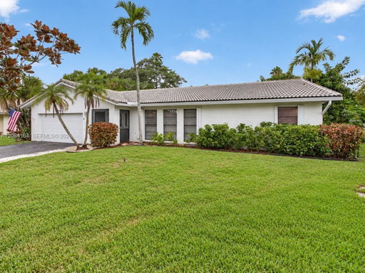 Media Image 2