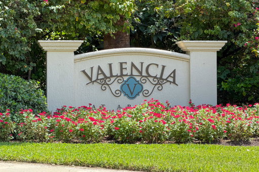 Media Image 2