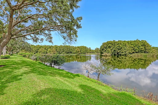 Media Image 2