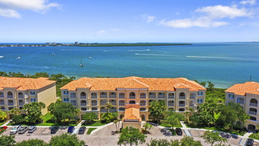 Media Image 2