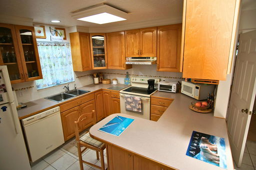 Media Image 3