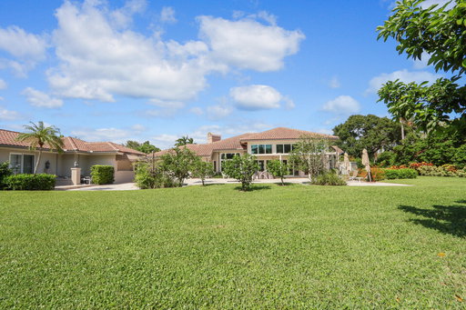 Media Image 3